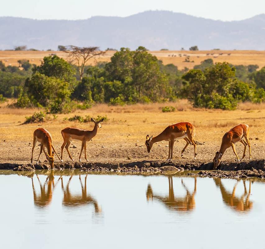 Les plus beaux paysages du Kenya